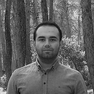 Oguzhan Alaman, Director of Company